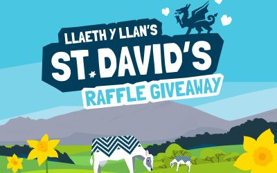 Dathlu Ein Gwobr Raffl Dydd Gŵyl Dewi Enillydd: Bethan Hughes